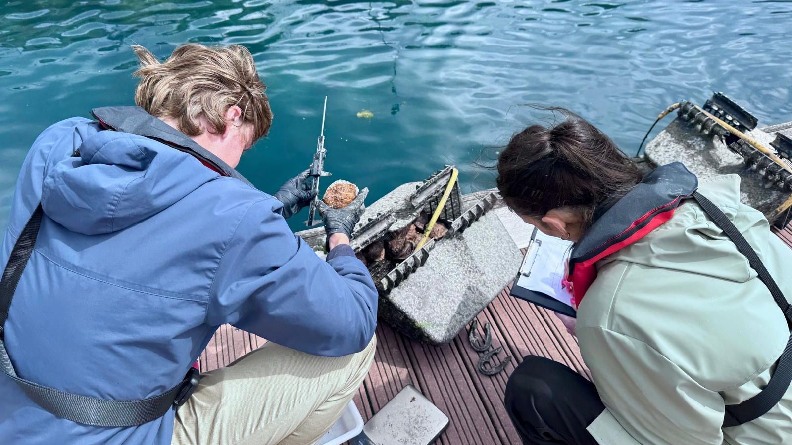 Two people writing down statistics and examining oyster baskets by the marina water