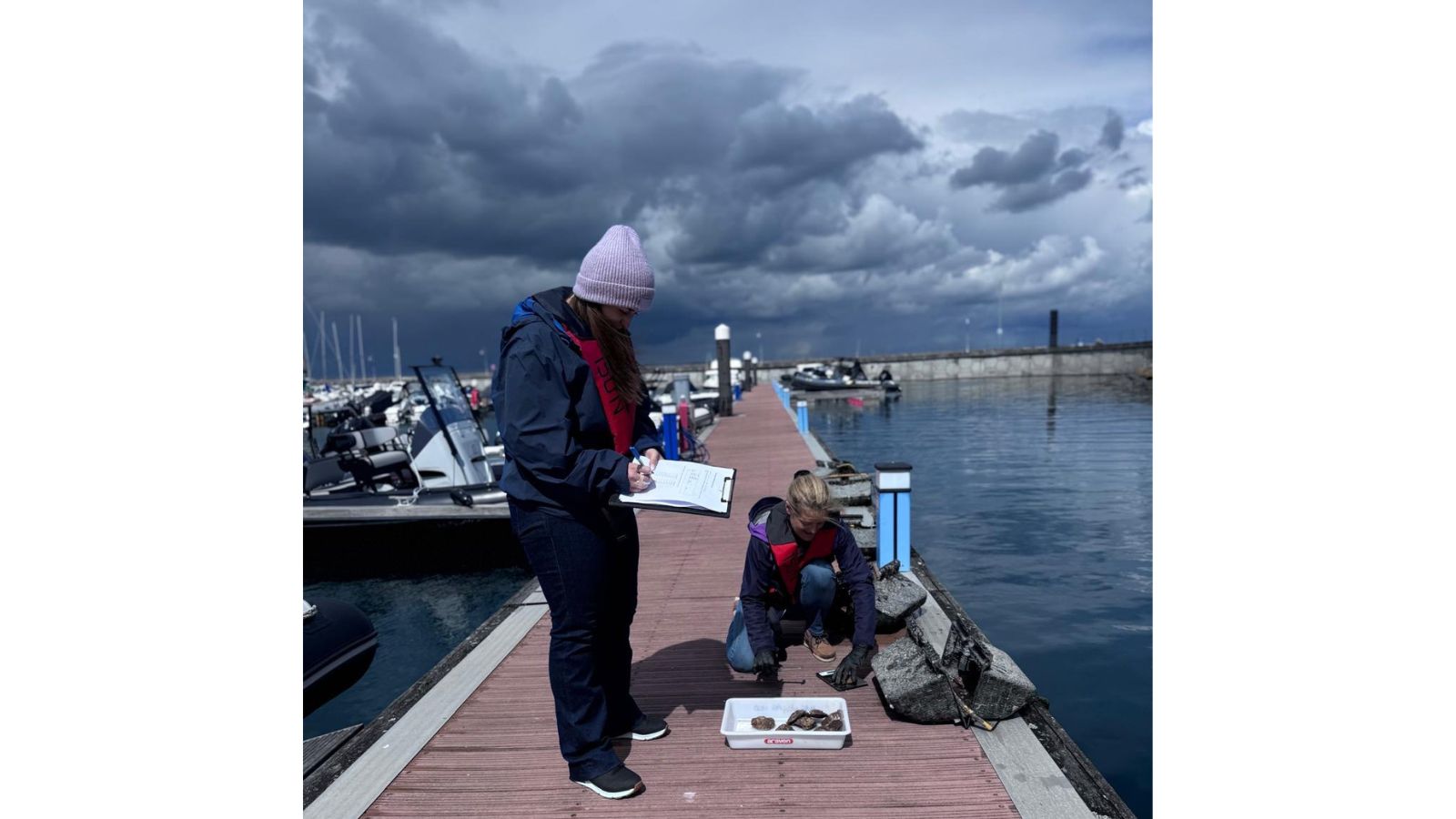 Two people writing down statistics and examining oyster baskets by the marina water